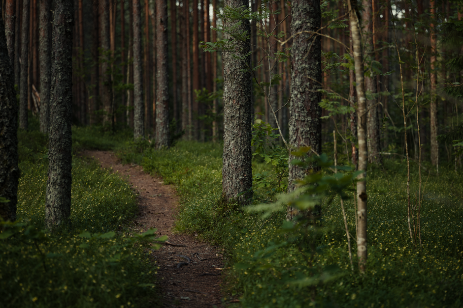A Balanced Approach To Wellness for Busy People
