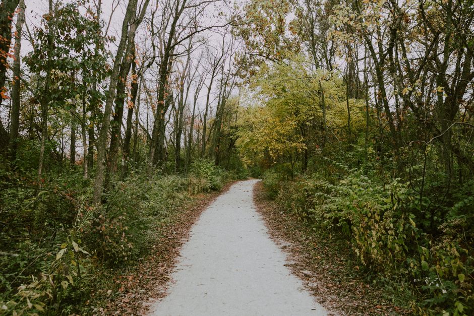 A Balanced Approach To Wellness: Myths and Facts