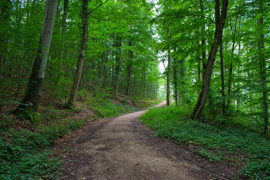 Rethinking A Balanced Approach To Wellness, Made Simple