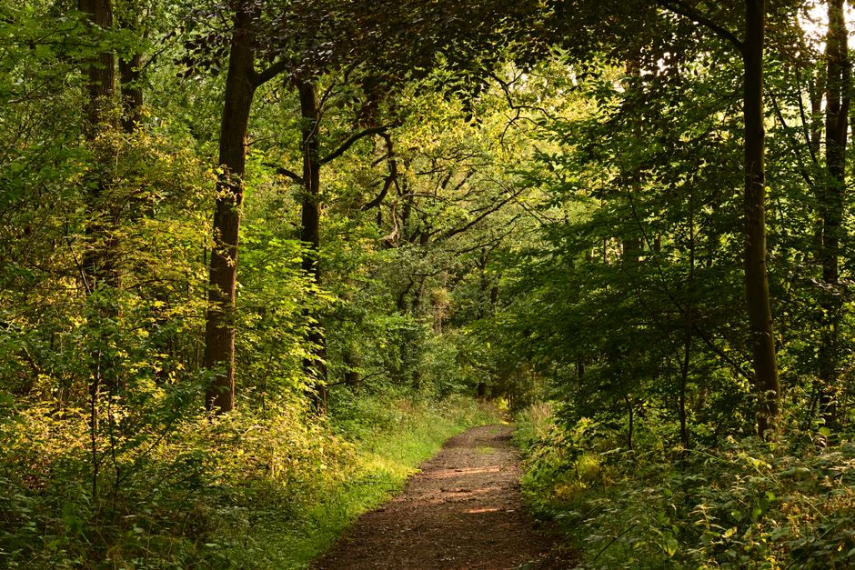 A Slower Approach to Tracking, Measuring And When To Stop, Without the Hype