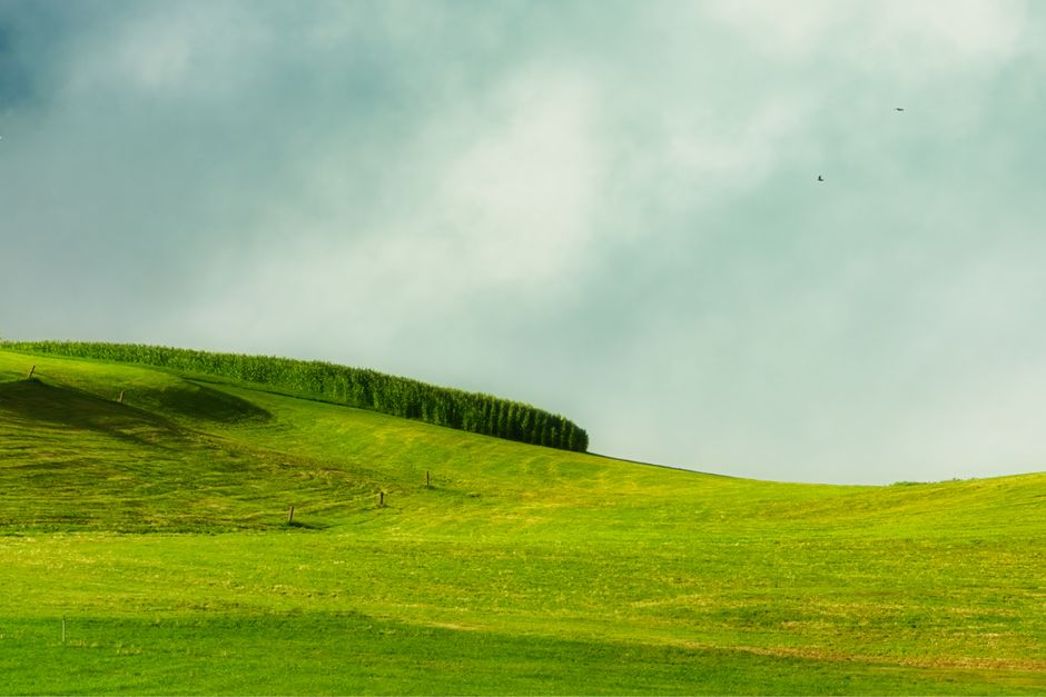 A Step-by-Step Look at Health And Uncertainty