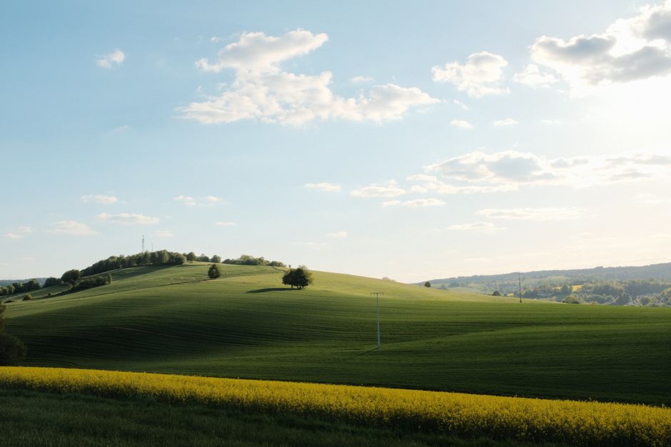 A Step-by-Step Look at Health As A Daily Practice