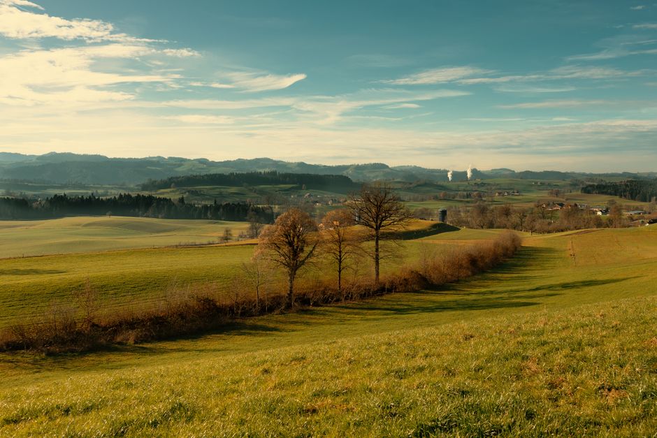 A Step-by-Step Look at Small Lifestyle Changes That Matter