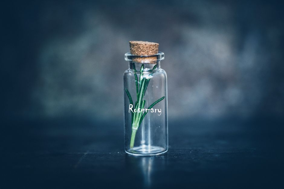 Building a Daily Routine Around Gut Health Beyond The Marketing, on a Normal Week