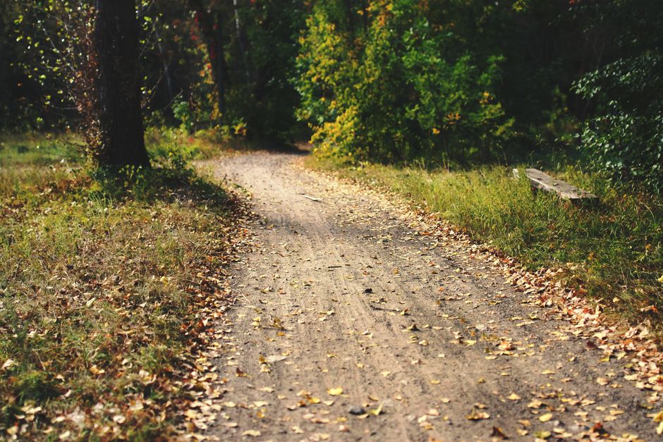 Caring For Your Overall Health for Busy People