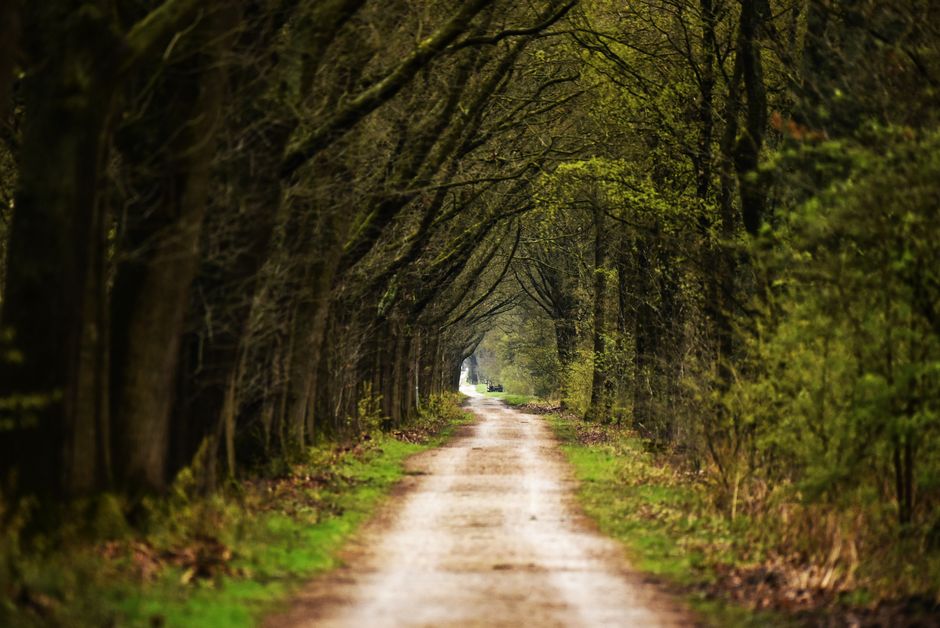 Caring For Your Overall Health: What Changes With Age
