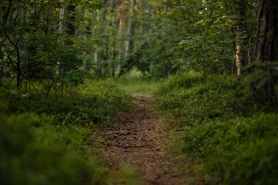 Everyday Habits Built Around Starting Over Without Starting From Scratch, for Real Life