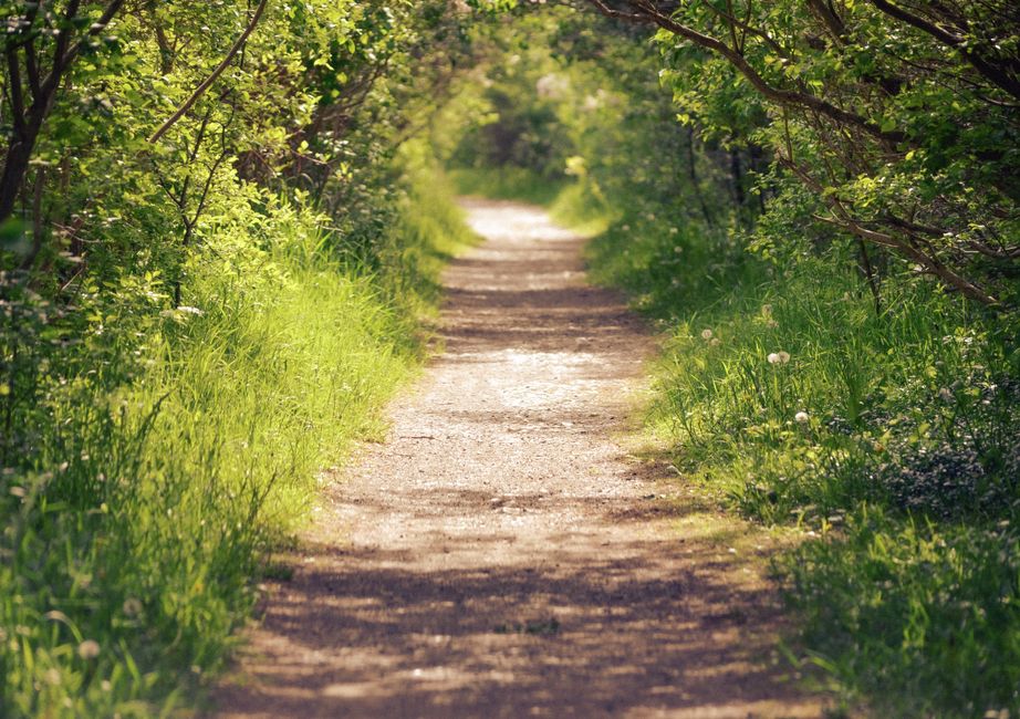 Everyday Habits Built Around Tracking, Measuring And When To Stop, One Step at a Time