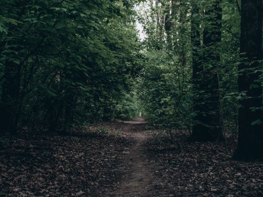 Everyday Habits Built Around Tracking, Measuring And When To Stop