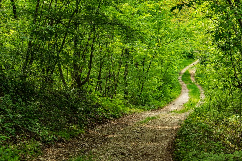 Finding Your Footing With Habits: How They Actually Form, Explained Simply