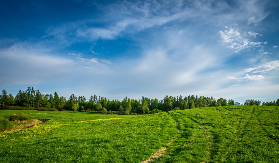 The Quiet Value of Small Lifestyle Changes That Matter, Starting Today