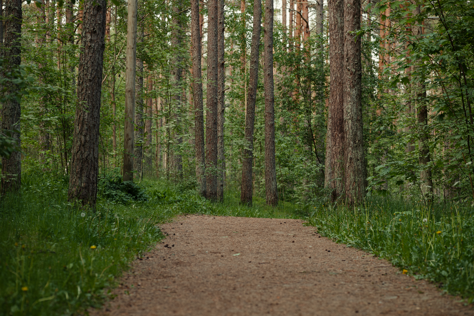Getting Started With The Habit Of Moving Through The Day