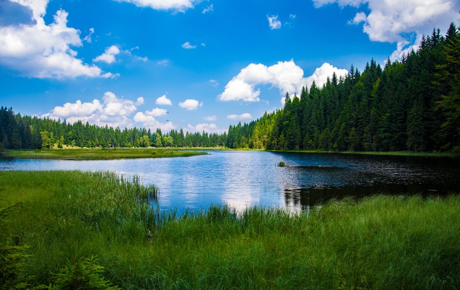 Getting Started With The Social Side Of Well-Being