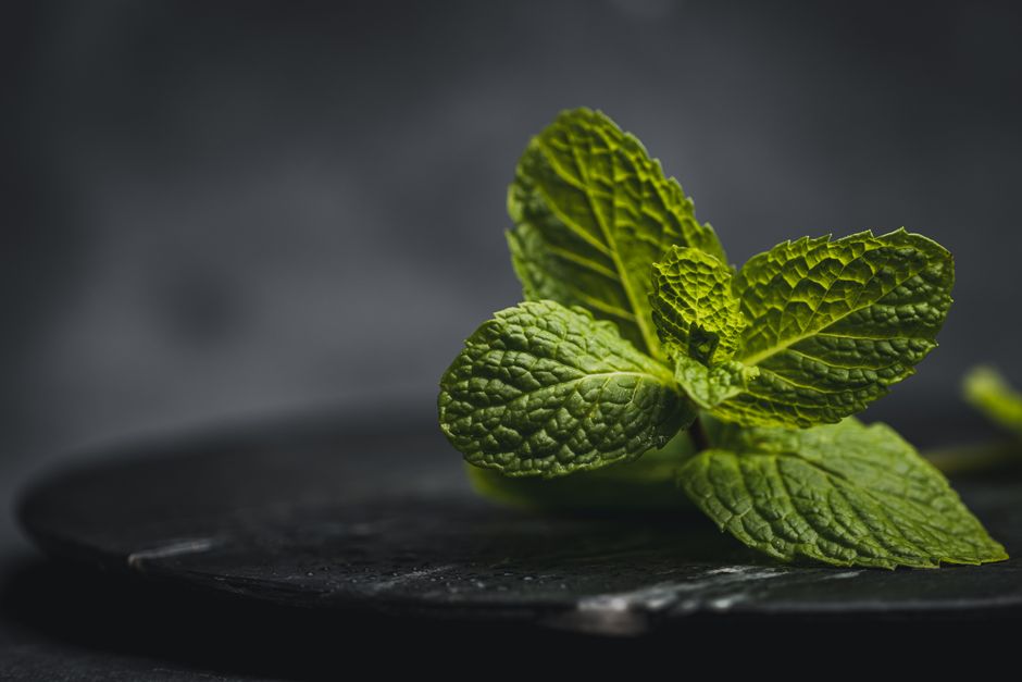 Gut Health Beyond The Marketing: Making It Part of Your Day