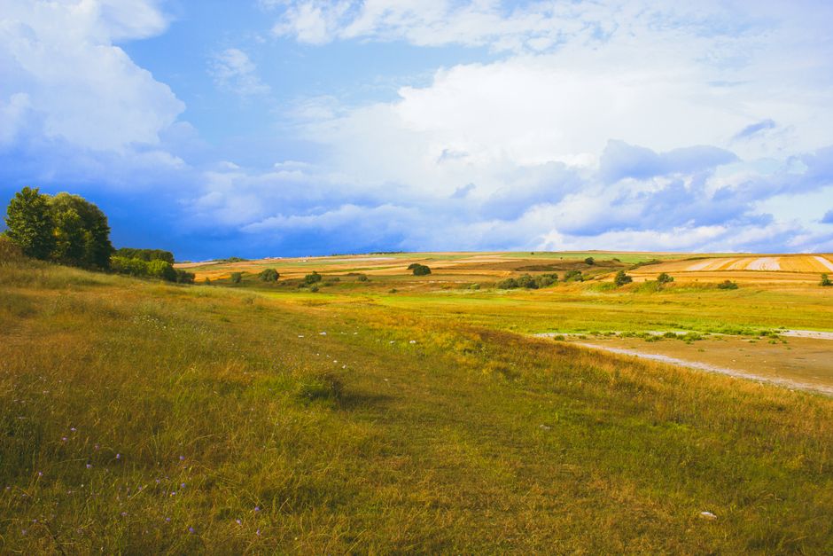Coming Back to Health As A Daily Practice, One Step at a Time