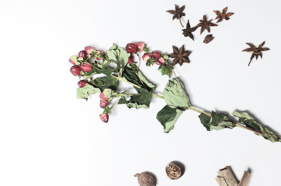 Hydration, Breath And The Overlooked Basics: What Actually Works