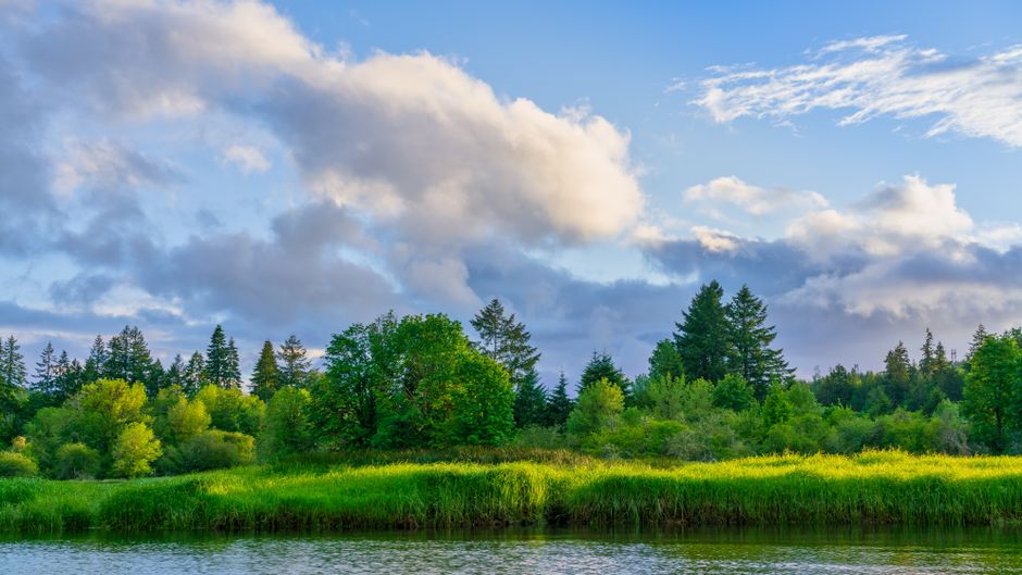 Motivation, Discipline And Self-Compassion as a Daily Habit