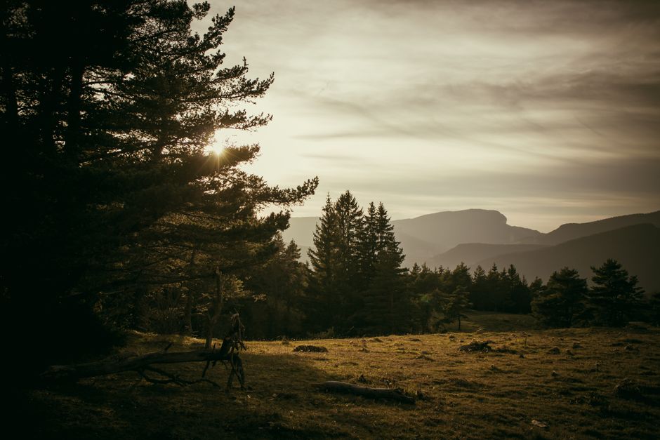 Understanding Motivation, Discipline And Self-Compassion in Plain Terms, on a Normal Week
