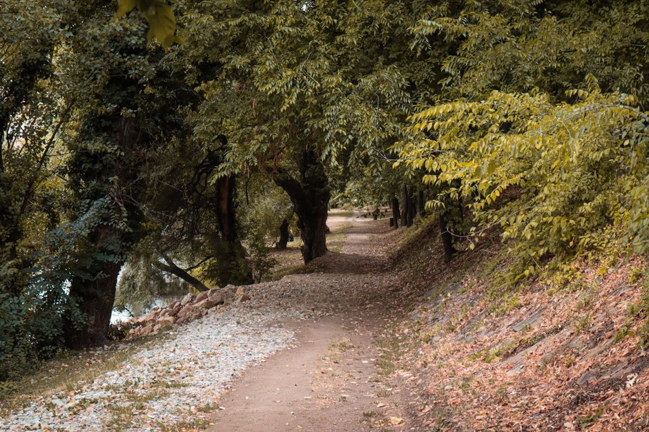 Simplicity As A Health Strategy: Where to Start