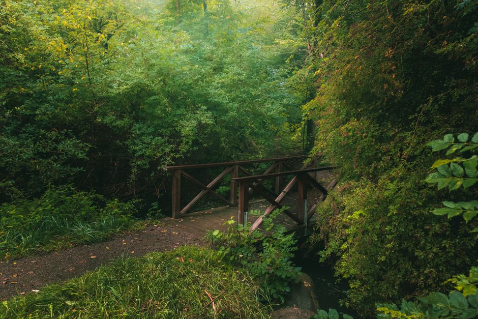 Building a Sustainable Fitness Routine for Long-Term Health