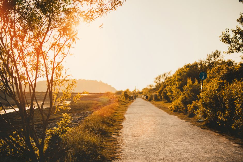The Ordinary Virtues Of Walking: Myths and Facts