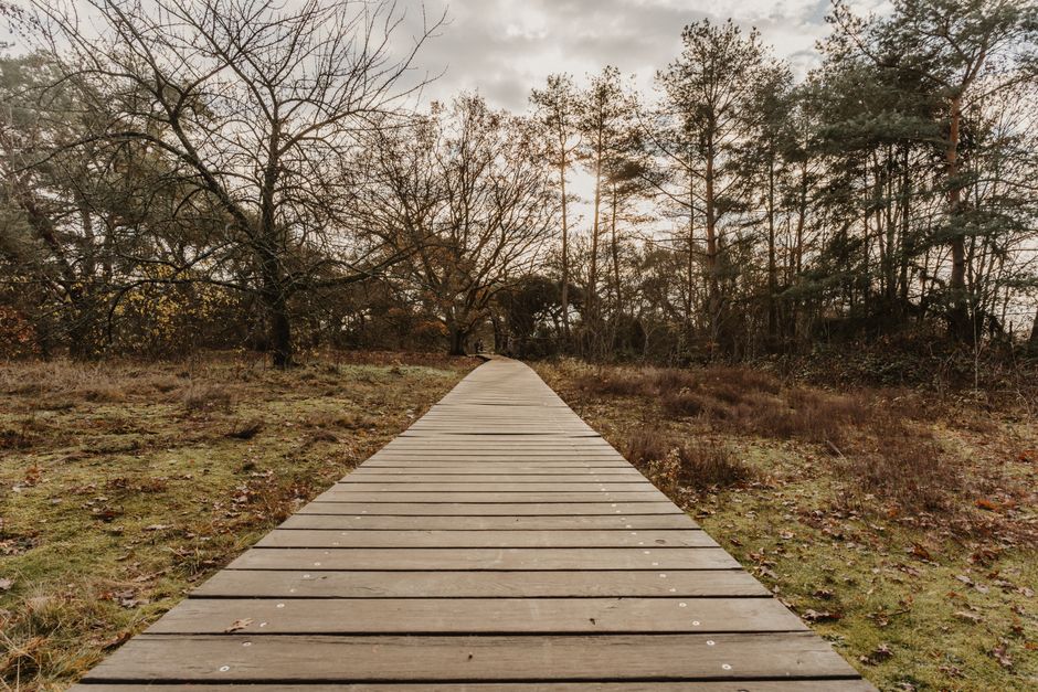 The Truth About The Habit Of Moving Through The Day