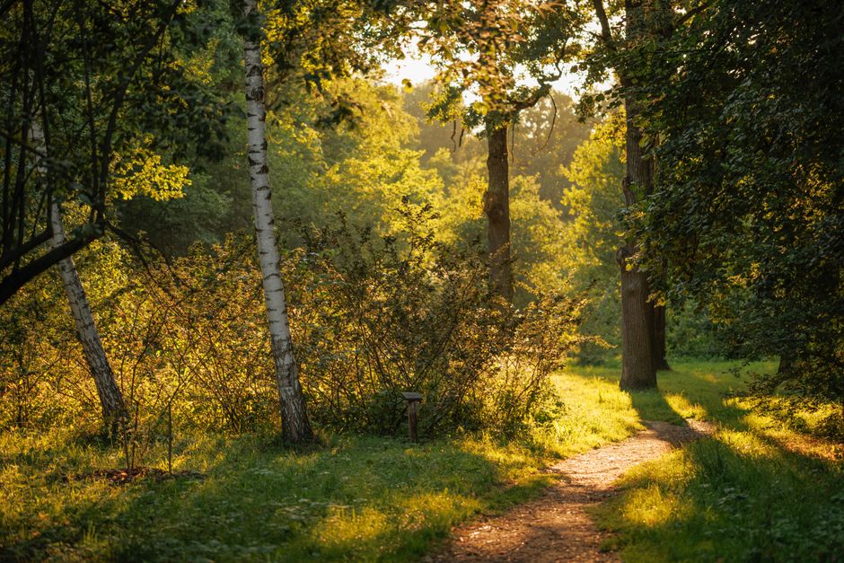 What Consistency Looks Like With The Social Side Of Well-Being, Day by Day
