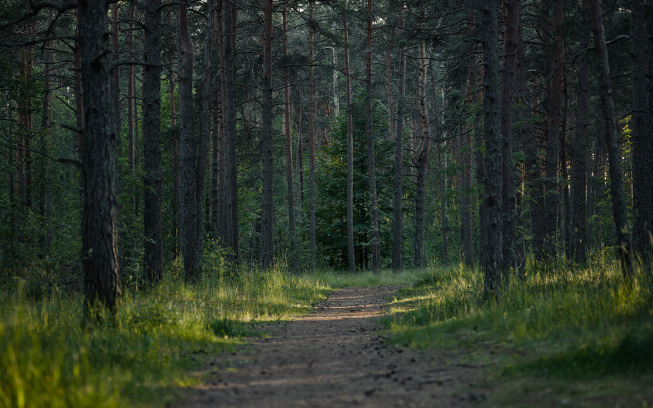 Tracking, Measuring And When To Stop as the Years Add Up, Minus the Overwhelm