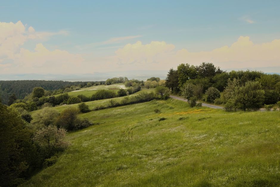 Understanding Health And Wellness When You're Short on Time