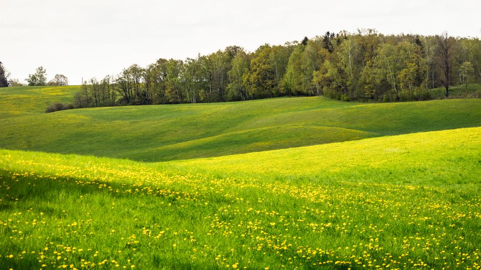 Understanding Health And Wellness: Where to Start
