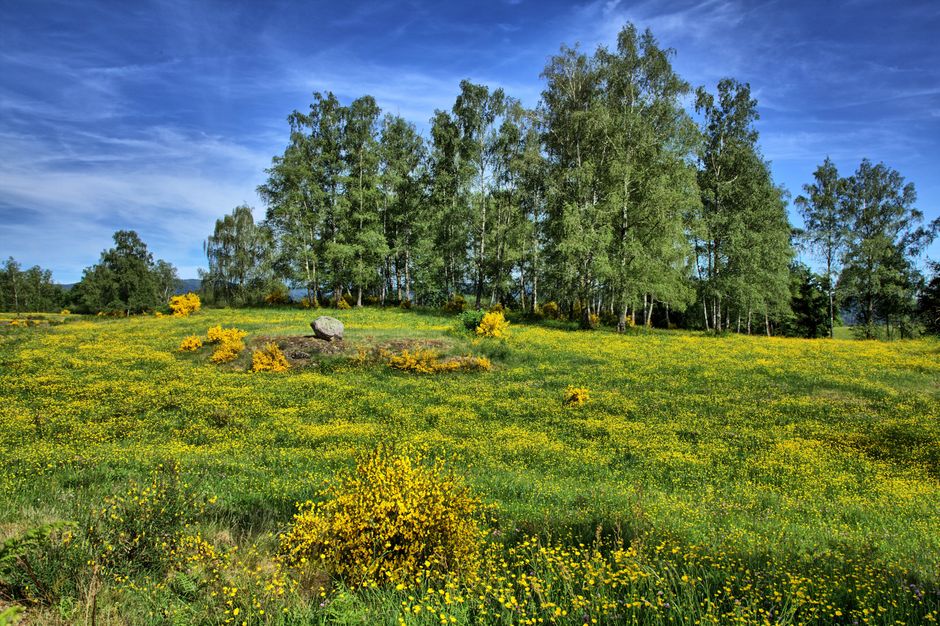 Understanding The Importance Of Personal Well-Being in Plain Terms