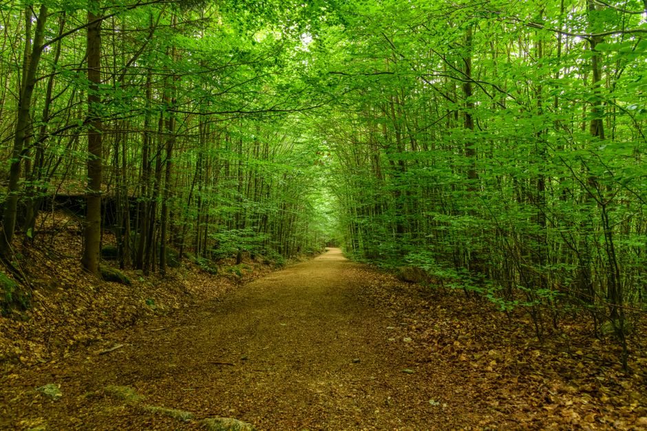 Wellness At Different Life Stages as the Years Add Up