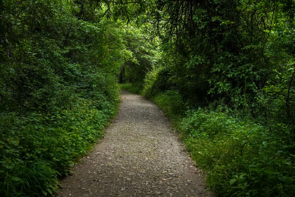 Where People Go Wrong With Wellness At Different Life Stages, for Real Life