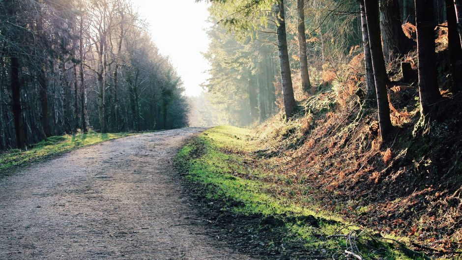 A Practical Take on Wellness At Different Life Stages, the Honest Way
