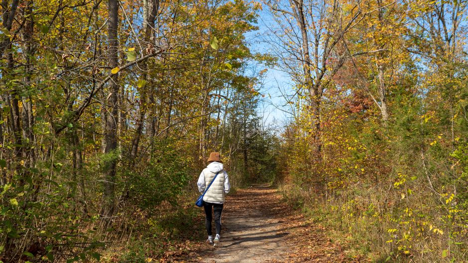 Wellness At Different Life Stages: Where to Start